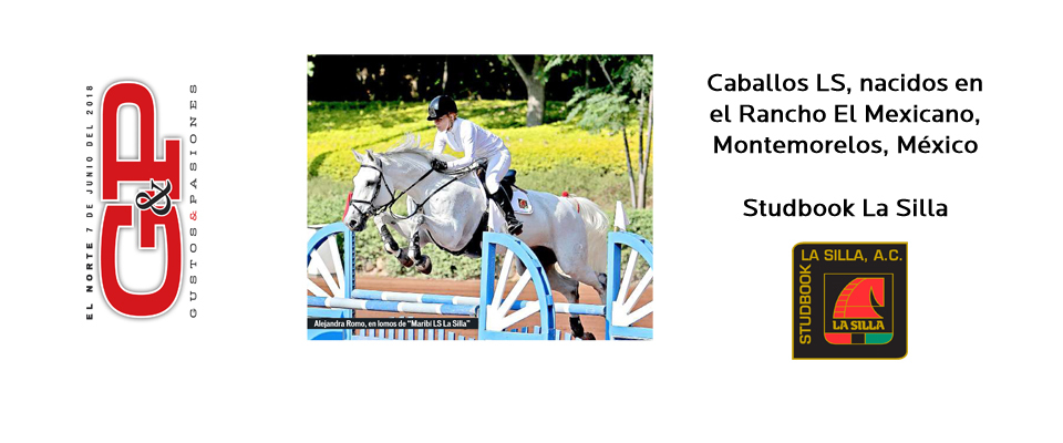 2018  noticias gp portada