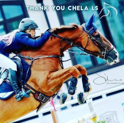 Thanks chela jul 05 2019